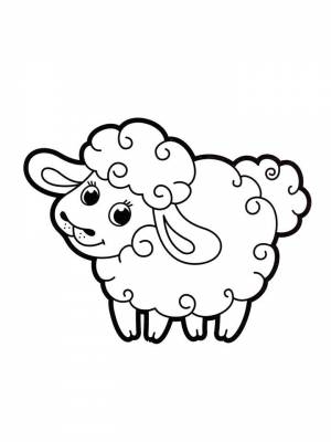 Раскраска Овечка   в формате