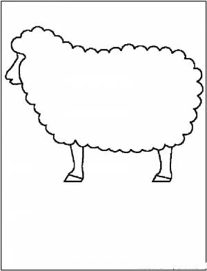 Раскраски Раскраска Овечка Контур овечки для вырезания