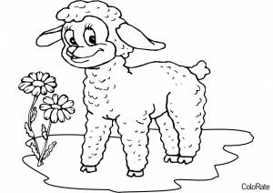 Раскраска Овечка и цветы