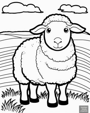 Раскраска овечка, овца для детей 4, 5, 6, 7, 8 лет