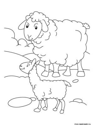 Раскраски Овечка