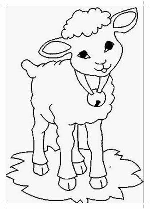 Рисунок овцы раскраска