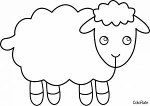 Раскраска Милый барашек