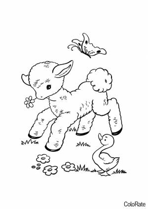 Раскраска Овечка на природе