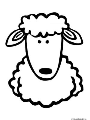 Раскраски Овечка