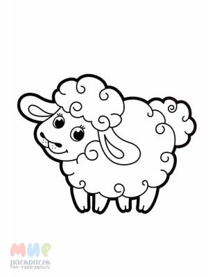 Раскраска Овечка беее