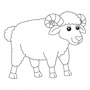 раскраски овец, изолированная для детей