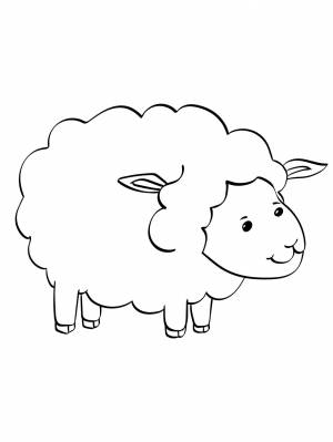 Красочные овечьи раскраски для детей