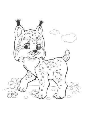 Раскраски Рысь   в формате