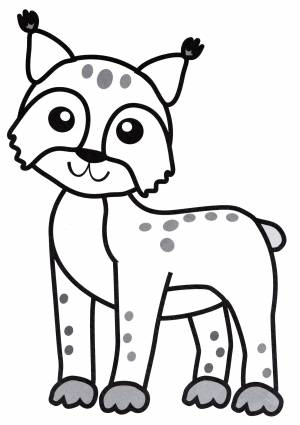 Раскраска Милая рысь