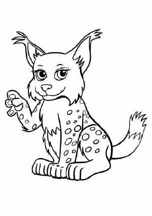 Раскраска «Милая рысь»