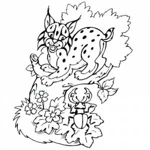 Раскраска рысь испугалась жука