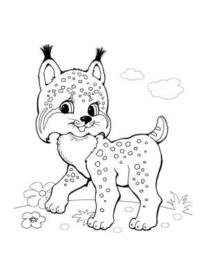 Маленькая рысь