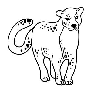 Раскраска леопард