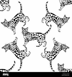 Раскраски кошки леопардовой
