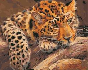 Картина по номерам Hobruk Леопард на холсте на подрамнике 50х40, раскраска по номерам, животные