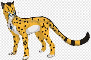 Гепард Леопард Оцелот Лев Felidae, Гепард Рисунки с, млекопитающее, кошка, как млекопитающее png