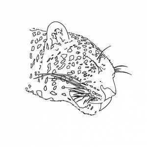 Голова леопарда, хищное животное с пятнами, кошка, каракули, линейная мультяшная раскраска