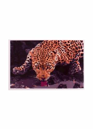 Набор ТМ Рыжий Кот Раскраска на картоне  Леопард на водопое