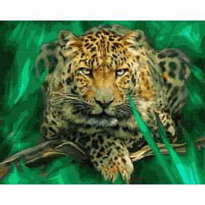 ZX 23335 Леопард