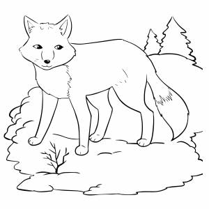 Лиса на лужайке