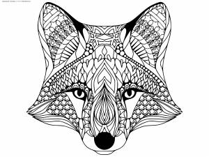 Раскраска Лиса