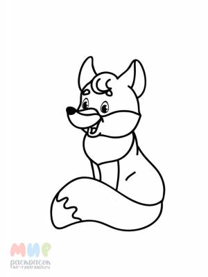 Раскраска Лиса хитрые глаза