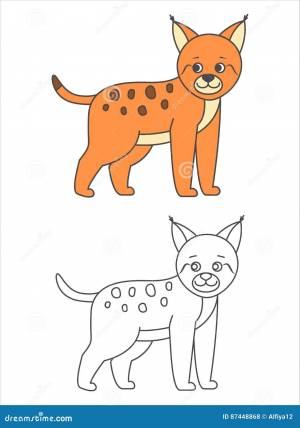 Рысь для книжка-раскраски иллюстрация вектора