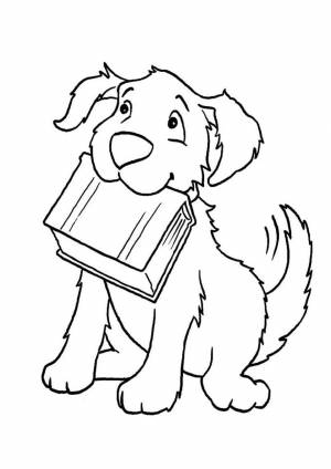 Раскраска Образованная собака с книгой