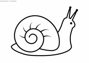Раскраска Улитка