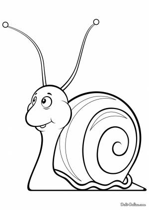 Раскраска Шелби улитка