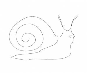 Улитка с большой раковиной