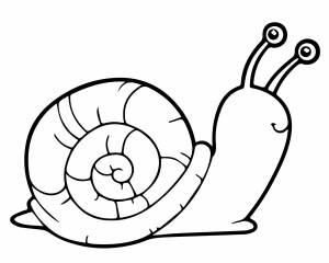 Маленькая улитка