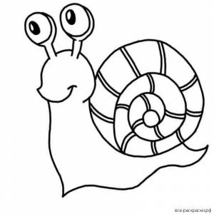 Раскраски морская улитка