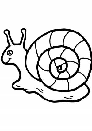 Улитка раскраска