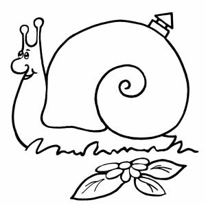 Раскраска Улитка в домике