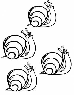 Раскраски морская улитка