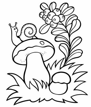 Гриб и улитка