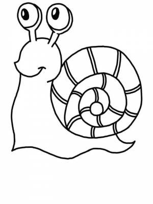 Раскраска Улитка картинка  для девочек