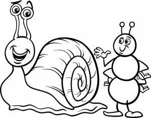 Раскраска Улитка с муравьем