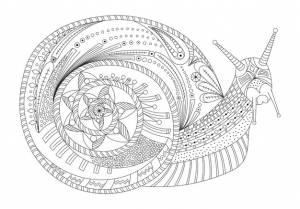 Абстрактные раскраски улитки в стиле зентангл