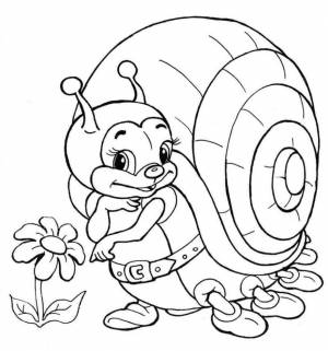 Раскраска Улитка