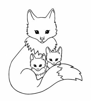 Раскраска Лиса с детенышами