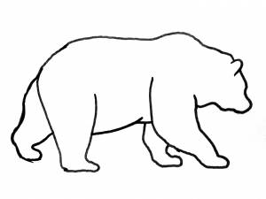 Раскраски пермский медведь