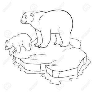 Image result for coloring pages of polar bears