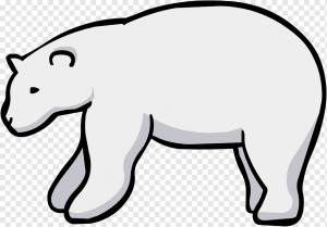 Белый медведь, Белый медведь, что ты слышишь?Бурый медведь Baby Polar Bear, белый медведь, белый, млекопитающее, животные png