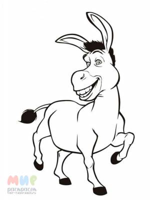 Раскраска Ослик