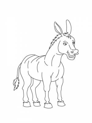 Раскраски Ослик   в формате