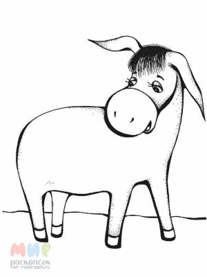 Раскраска Ослик
