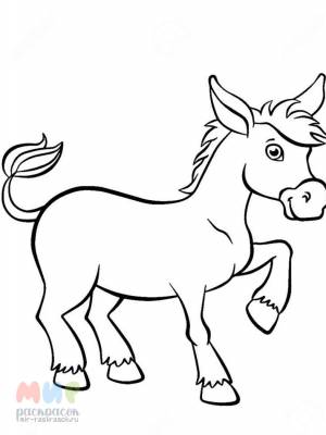 Раскраска Ослик